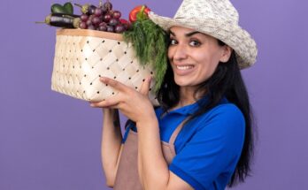 Fruit Picking and Packing Jobs in Italy with Visa Sponsorship